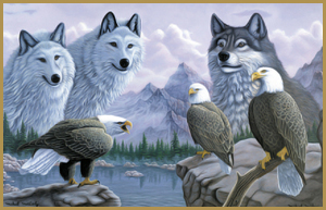 white wolves, gray wolf, bald eagles